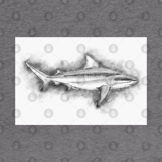 BULL SHARK Fine Art Sketch Drawing for the Ocean and Animal Lovers by Naumovski